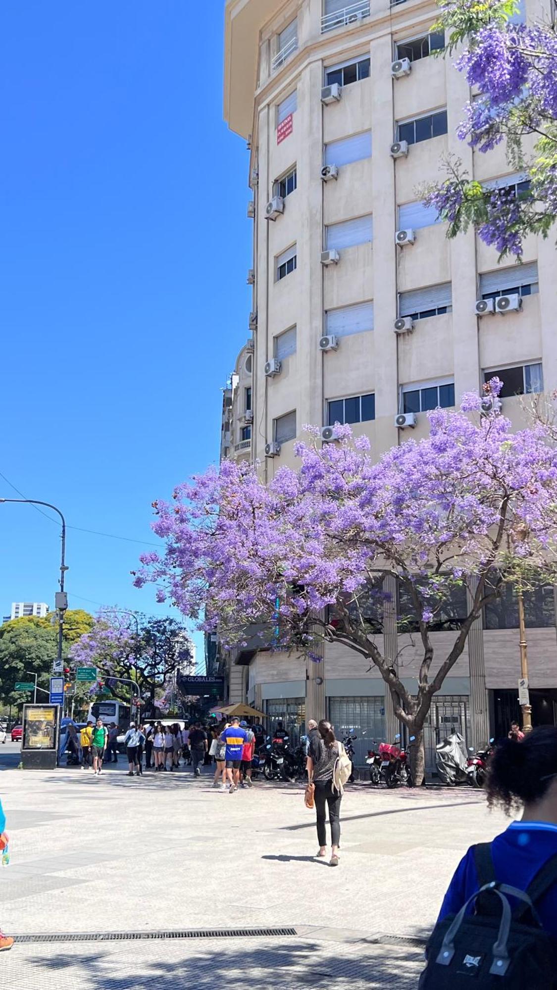 דירות בואנוס איירס Loft Obelisco מראה חיצוני תמונה